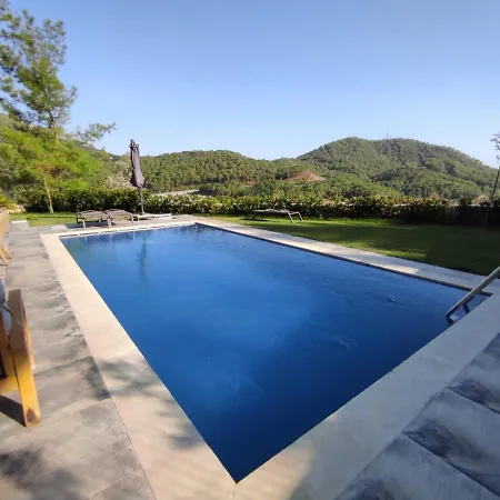Begon-Villa Panora Villa *