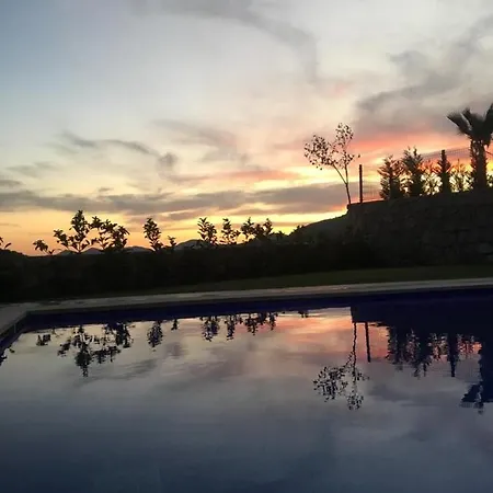 Begon-Villa Panora Villa *